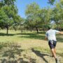disc golf Metro